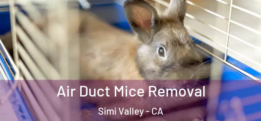  Air Duct Mice Removal Simi Valley - CA