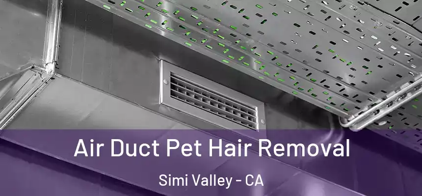 Air Duct Pet Hair Removal Simi Valley - CA