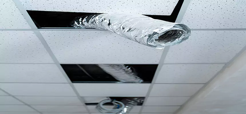 Affordable HVAC Sanitizing After Pest Removal in Simi Valley