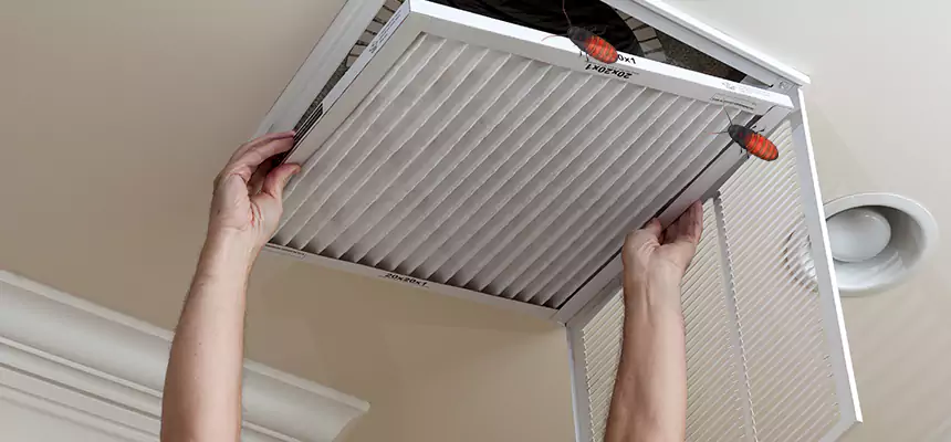Our Insect Removal from Air Ducts Services in Simi Valley, CA