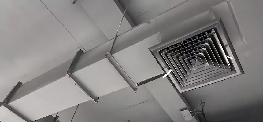 Our Rodent Droppings In Vents Services in Simi Valley, CA