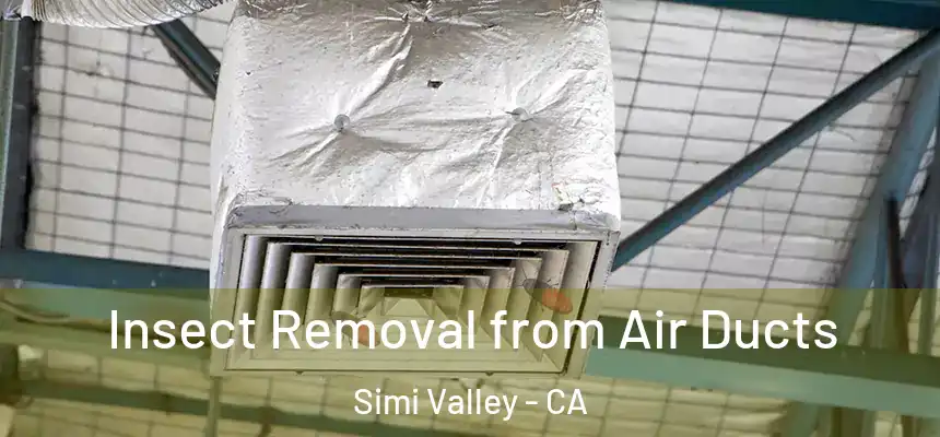  Insect Removal from Air Ducts Simi Valley - CA