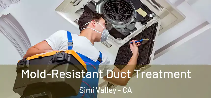  Mold-Resistant Duct Treatment Simi Valley - CA
