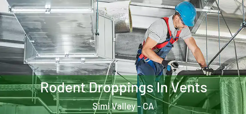  Rodent Droppings In Vents Simi Valley - CA