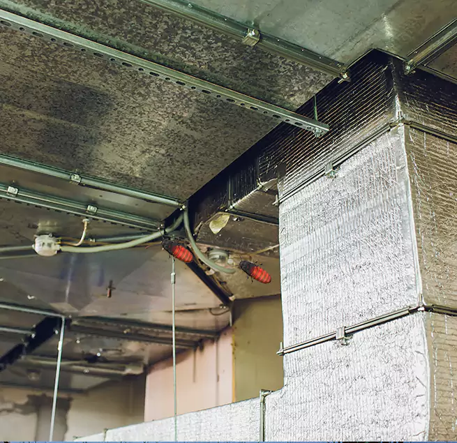 Why Homeowners & Businesses Trust Us in Simi Valley, CA?