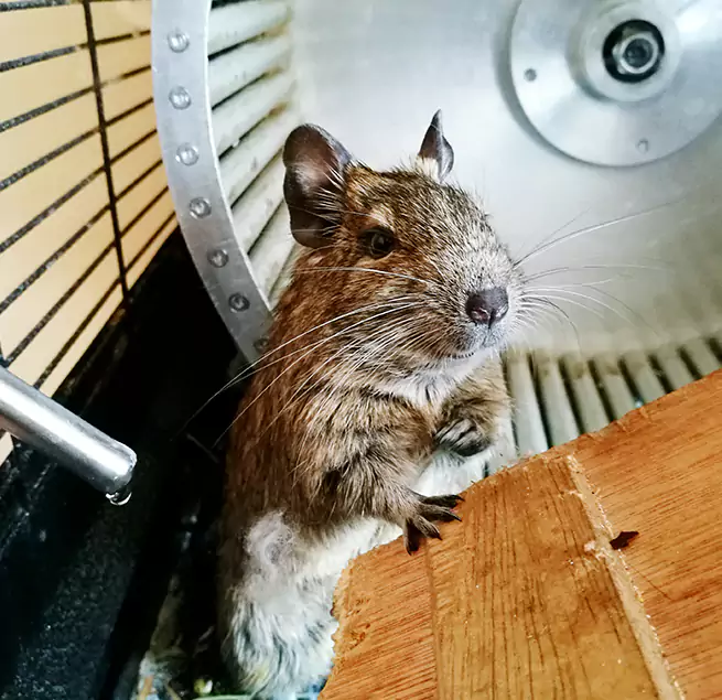 Why Homeowners & Businesses Trust Us Simi Valley, CA