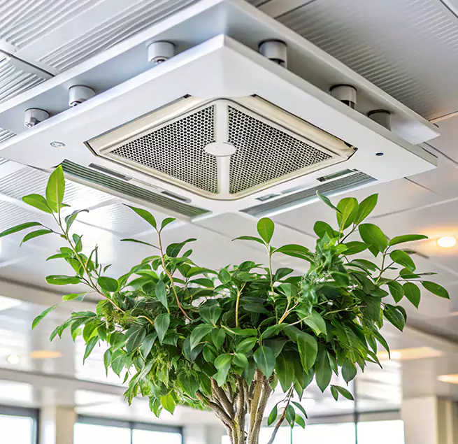 Why Homeowners & Businesses Trust Us in Simi Valley, CA?